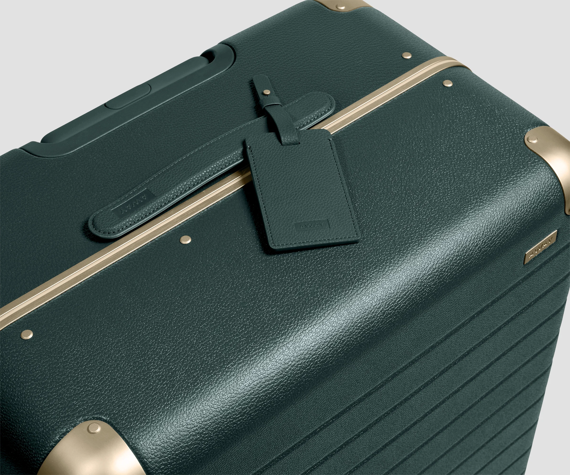 The Aluminum Edge Large in Ivy Green - Image 8