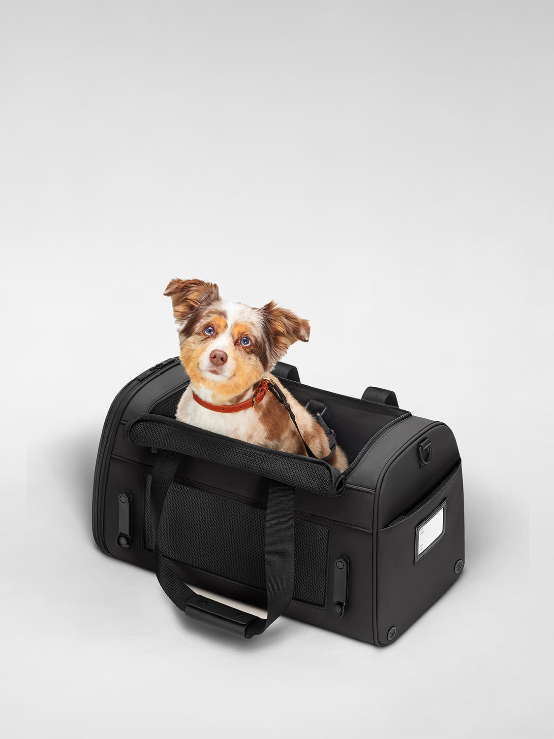 The Pet Carrier - Image 4