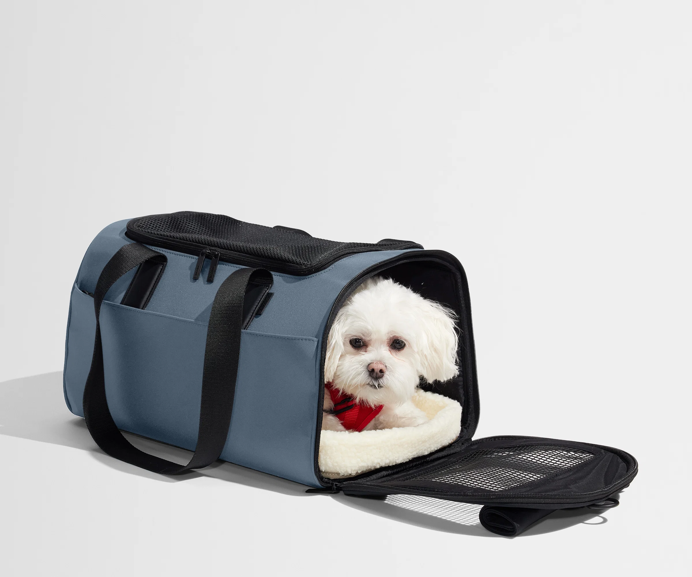 The Pet Carrier in Coast Blue - Image 5
