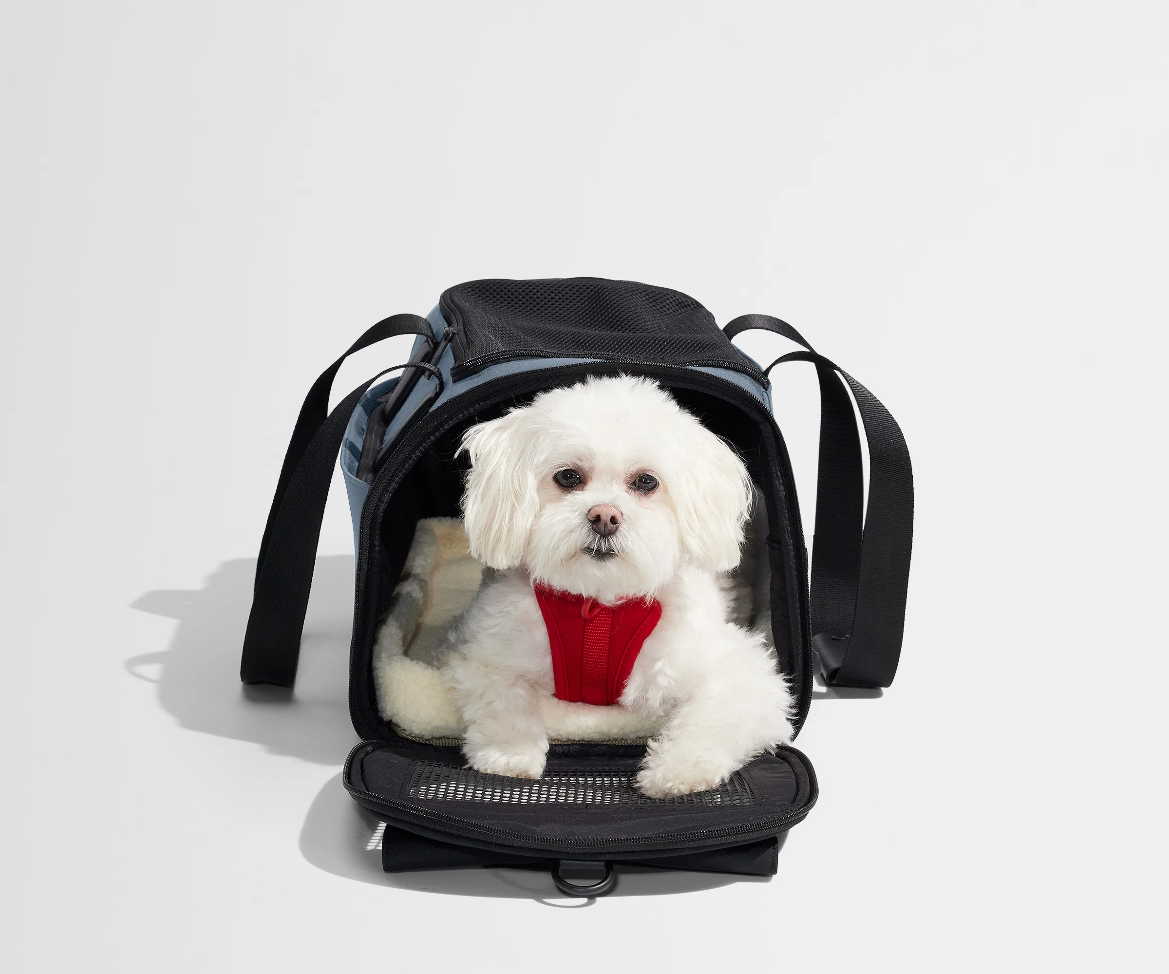 The Pet Carrier in Coast Blue - Image 9