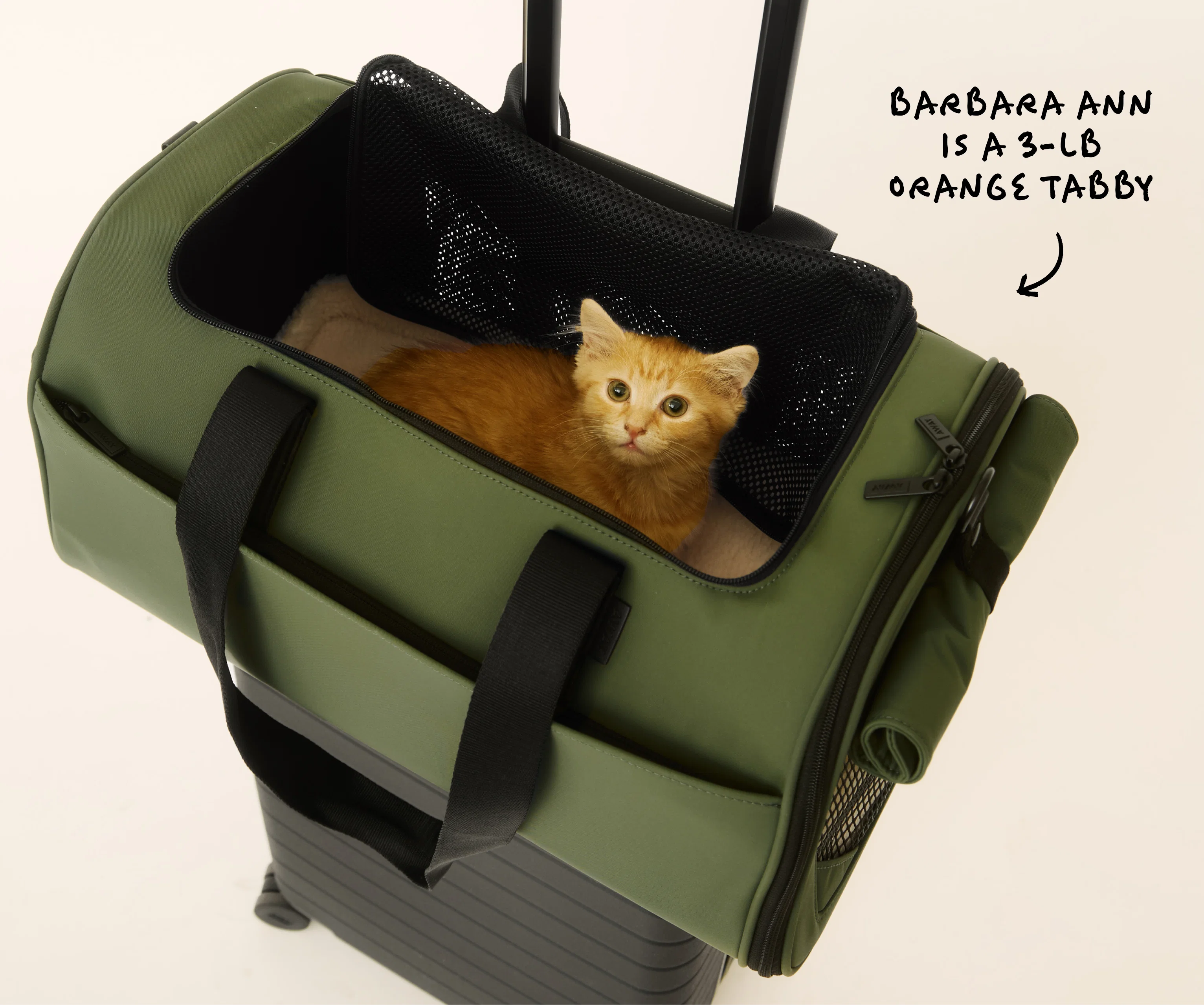 The Pet Carrier in Olive Green - Image 11